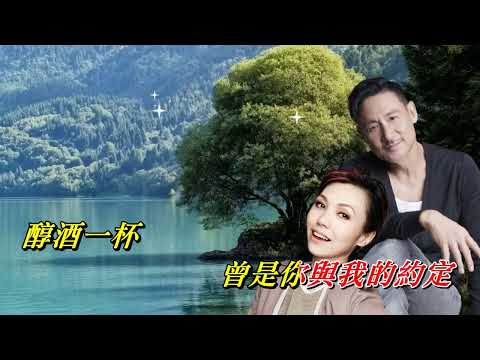 醇酒醉影   張學友‧陳潔儀〈歌手演唱 HD版〉