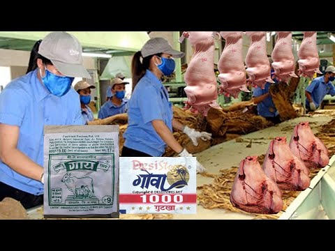 इस तरह फैक्ट्री में बनाई जाती है तंबाकू | Tobacco Making Factory Production