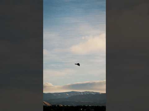 SR-71 over Las Vegas breaking the sound barrier. #sr71 #blackbird #dcs #lasvegas #shorts #realism