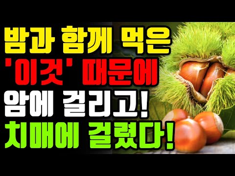 밤과 절대로 함께 먹지마세요! 🌰암과 치매에 걸릴 수 있습니다! 밤과 최악의 궁합 3가지와 만성 염증과 독소 싹 빼주는 최고의 레시피 [밤 생율 군밤 햇밤 효능, 요리 건강 정보]