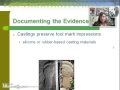 Tool Mark Evidence Analysis