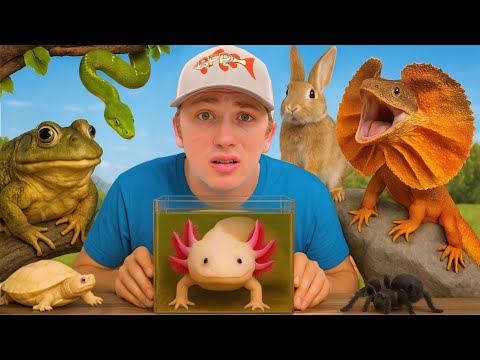 Every Pet i Saved in 2025 (so far)