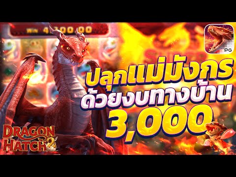 สล็อตดราก้อนแฮตpg แม่มังกรพีจี Dragon Hatch ดราก้อนแฮตช์2 ปลุกแม่มังกร ด้วยงบทางบ้าน 3000 แตกหมื่น