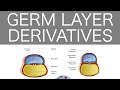 Embryology Mnemonics and Abnormalities