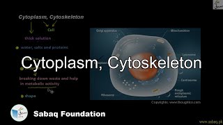 Cytoplasm, Cytoskeleton