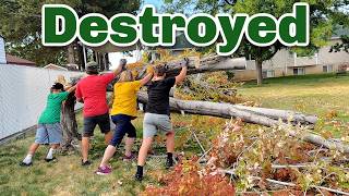 Grandmas Giant Tree Fell Over! Why are all her trees Dying??
