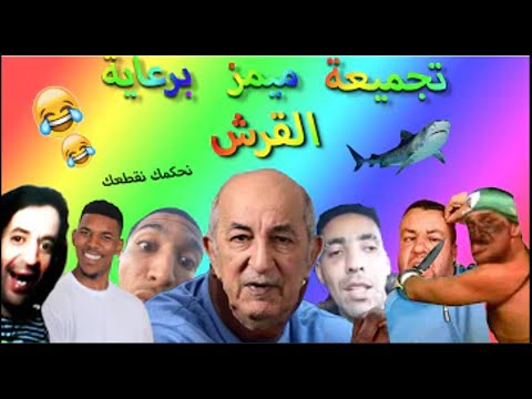 memes DZ ميمز جزائري متراطيش غادي يعجبك 😂😂🔞