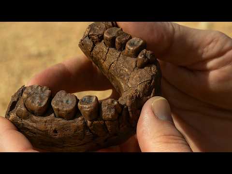 Africa Trek : Malawi, un pays en crise