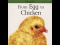 Chicken Life Cycle and Behavior