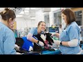 Veterinary Nursing Roles and Responsibilities