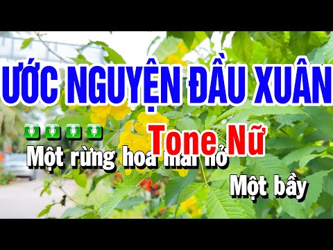 Karaoke Ước Nguyện Đầu Xuân Nhạc Sống Tone Nữ Fm | Beat Huỳnh Anh