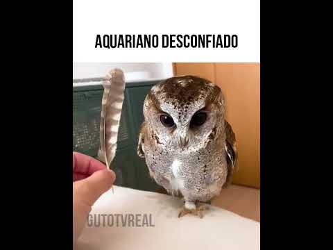 VOCÊ É DESCONFIADO?