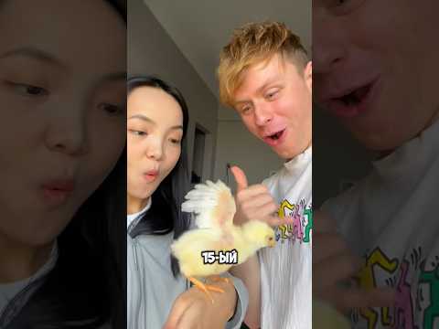 ЧИКЕН НАГИНС ИЗ ЖИВОЙ КУРОЧКИ??🐔😳 #китай #какприготовить #еда #курица