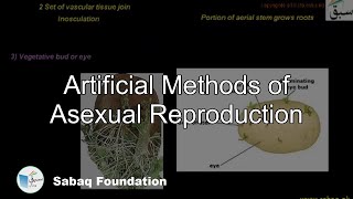 Artificial Methods of Asexual Reproduction