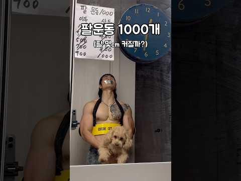 팔운동 1000개 - 팔 두께 변화