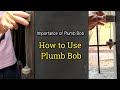 Understanding the Plumbob in Construction