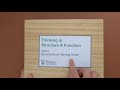 Understanding Structure and Function at Different Scales