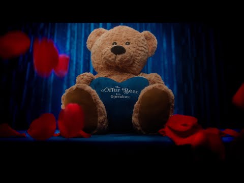 Introducing The Offer Bear™️ from Opendoor