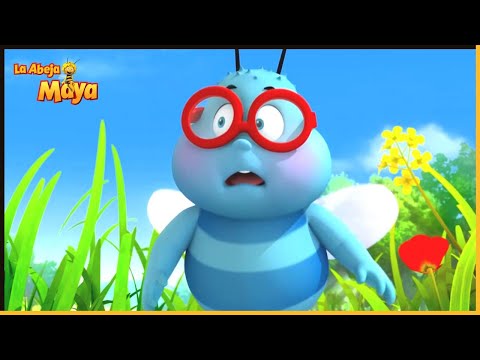 El desconocido | La Abeja Maya 🐝 50' Compilación