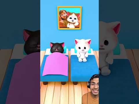 O gatinho está com frio! #helpmemakethismakesense #cat #animation #funny #3d