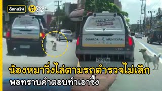 น้องหมาวิ่งไล่ตามรถตำรวจไม่เลิก พอทราบคำตอบทำเอาซึ้ง | Dog's Clip