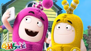 🎁 O Presente Perfeito (ou quase!) - ODDBODS BRASIL! | Desenhos Animados Engraçados