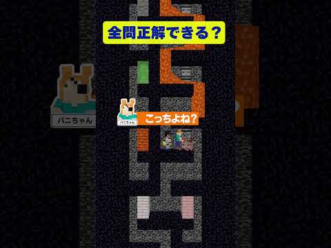 【マイクラ】◯◯ブロックはどっち？ゲームで初心者には難しすぎる最終問題 #shorts