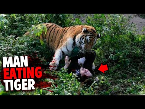 1 Hour of The DEADLIEST Tiger Attacks in History...