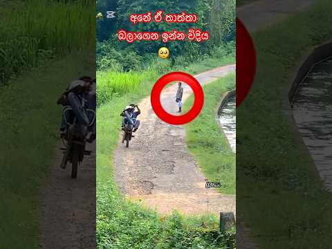 තාත්තා බලාගෙන ඉන්න විදිය බලන්නකො🥺 #bikelover #sl #trending #rider #bikelife #stunt #