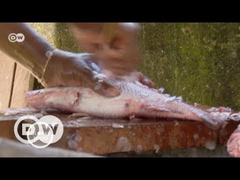 YouTube video thumbnail: A Typical Snack on Príncipe: Fish Stew