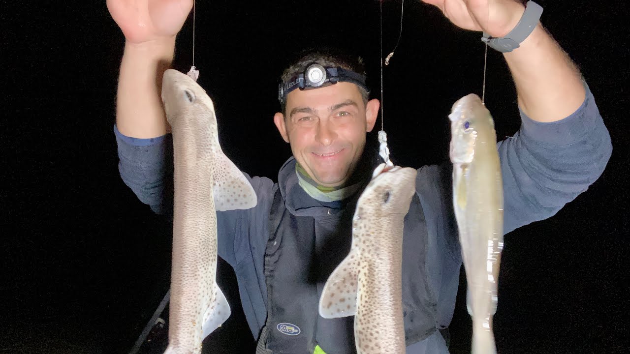 Shore Fishing - Beach Fishing at Night - Sea Fishing UK - The Fish Locker