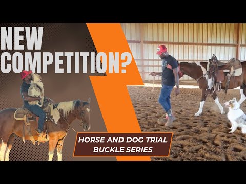 Iron Sharp K9 Takes on a New Competition | Horse Riding AND Dog Obstacles