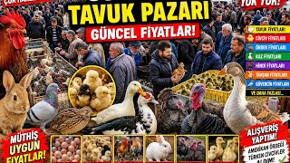 Şok Fiyatlar! Pazarda YOK YOK!Suluova Tavuk Pazarında Bugün Neler Vardı?#tavukpazarı 