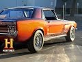 Mustang Transformation Insights