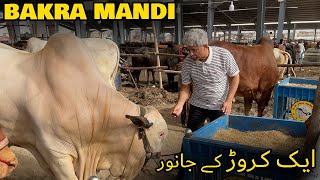 Bakra Mandi ke Sab se Mehangay Janwar | Amin Hafeez