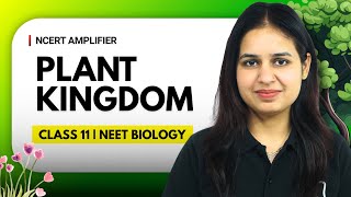 Plant Kingdom In One Shot | NCERT Amplifier | NEET Biology | Class 11 Biology
