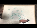 Mitochondrial Function and Electron Transport