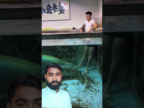 This fish is too much aggressive 😵😲🥵😯 #fish #fishing #shortvideo #reactionvideo #facts #viralvideo