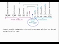 Understanding Decimal Place Values
