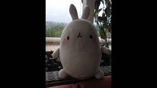 Molang Flapping Dance Plush At Bogor Balcony Sky Cafe 🐰☕ #shorts