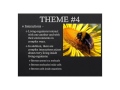 Biology Concepts and Themes Assessment