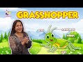 Grasshopper Facts and Survival Strategies