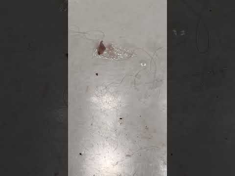 Será que tinta acaba com eles?