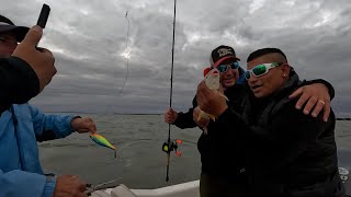 Qué pesca…con invitados!! - Tranqui sin nervio