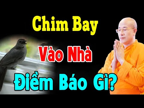 Chim Đột Nhiên Bay Vào Nhà Là MANG ĐẾN TÀI LỘC Hay RƯỚC TAI HỌA Xem Ngay Để Tránh