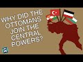 Ottoman Empire's Role in WWI