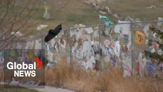 YouTube video thumbnail: Calgary Residents Frustrated by Recurring Fallout From "Garbage Tornado"