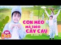 Nội dung video và bài hát