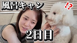 【犬困惑】風呂キャンというより、1日過ぎるのが早すぎるのが悪い