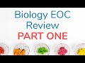 Biology EOC Review Essentials